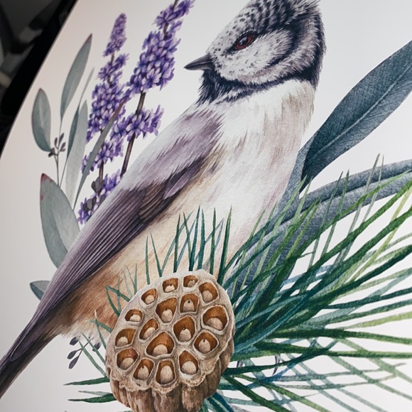 Watercolor Wall Art Print Crested Tit Illustration Unframed - Picture 14 of 17